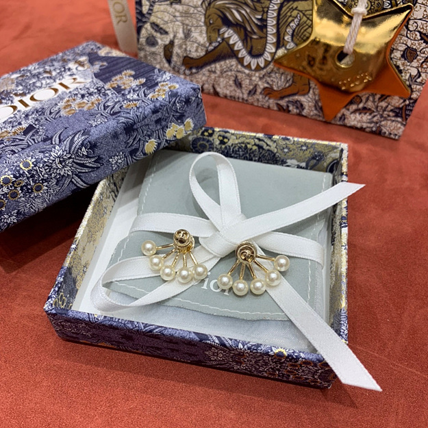 디올 부채 귀걸이